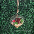 Planta de flor suculenta artificial Mini com vaso de vidro